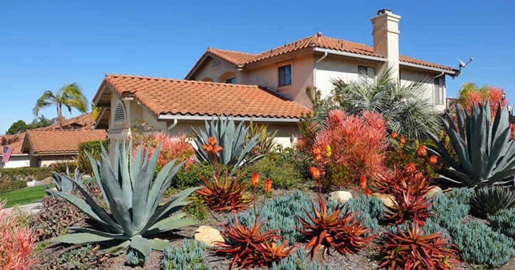 A lush, drought-tolerant landscape with succulents and desert plants in front of a residential home.