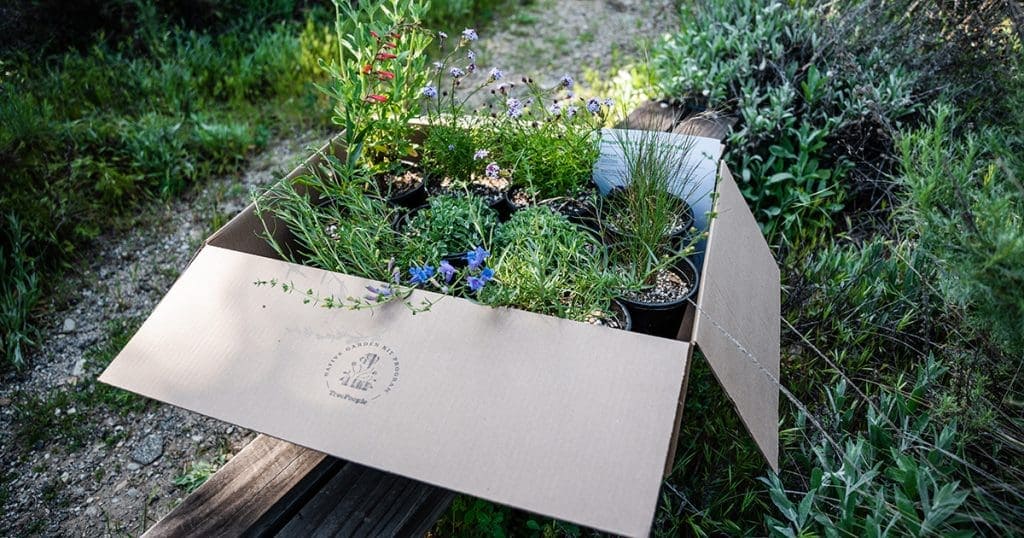 Eco-friendly plant delivery box with various plants and flowers outdoors.