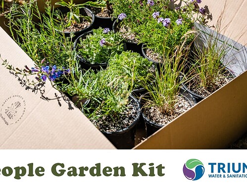 TreePeople Fall Planting Native Garden Kit