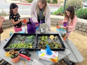 Girl Scouts planting native plants